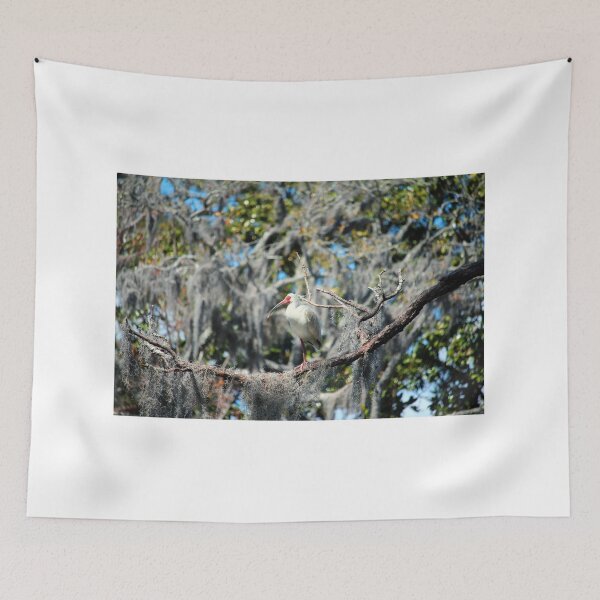 Item preview, White Ibis Perched In A Tree designed and sold by Cynthia48.