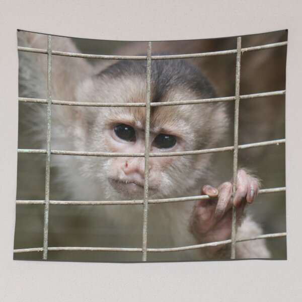 Item preview, Capuchin Monkey designed and sold by misimichu.