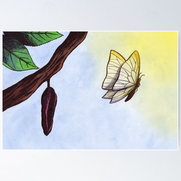 Butterfly Cocoon Posters for Sale Redbubble