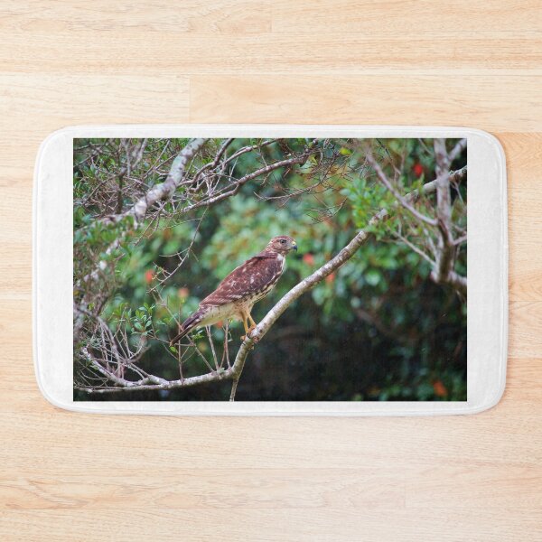Item preview, Hawk In The Rain designed and sold by Cynthia48.