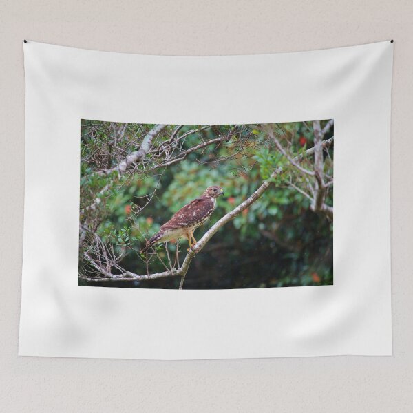 Item preview, Hawk In The Rain designed and sold by Cynthia48.