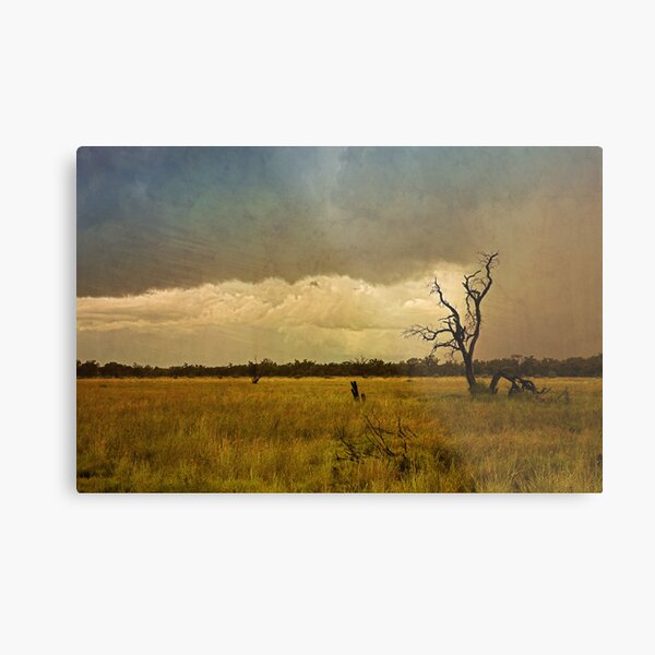 Paint by Numbers Metal Print