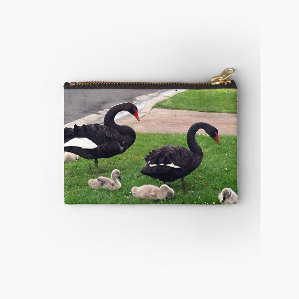 Item preview, Swan family - near Lake Wendouree, Ballarat designed and sold by Bev Pascoe.