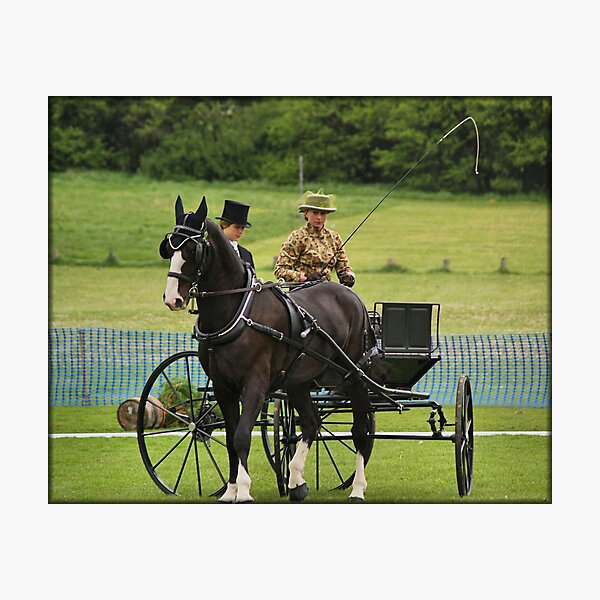 Item preview, dressage designed and sold by smurfette57.