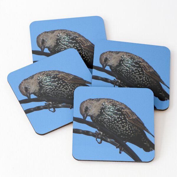 Item preview, A Starling designed and sold by Sharon Perrett.