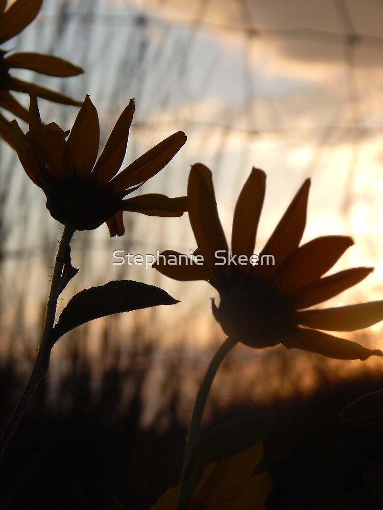 white Quilled flowers  Poster for Sale by Stephanie Skeem