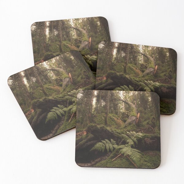 Item preview, Tree on Cannon Mountain, New Hampshire designed and sold by Under The Radar Van.