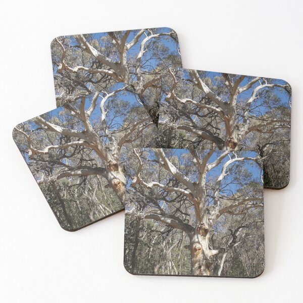 Item preview, Majestic Gum Tree at Wilpena Pound, Flinders Ranges designed and sold by Annalucia.