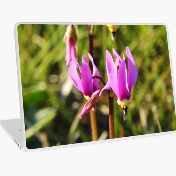 Shooting Stars Laptop Skin