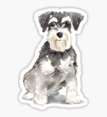 Watercolor Miniature Schnauzer Sticker