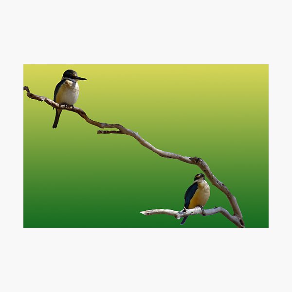 Fertility and Life Photographic Print