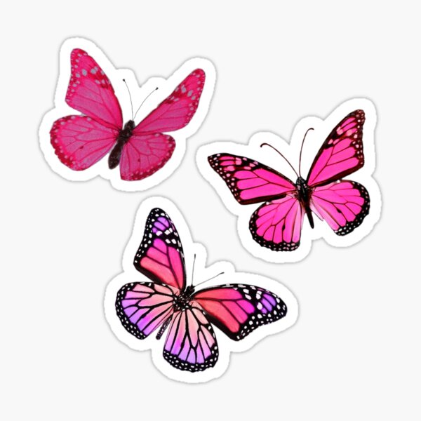 butterfly sticker waterproof – Hailey's Stickers