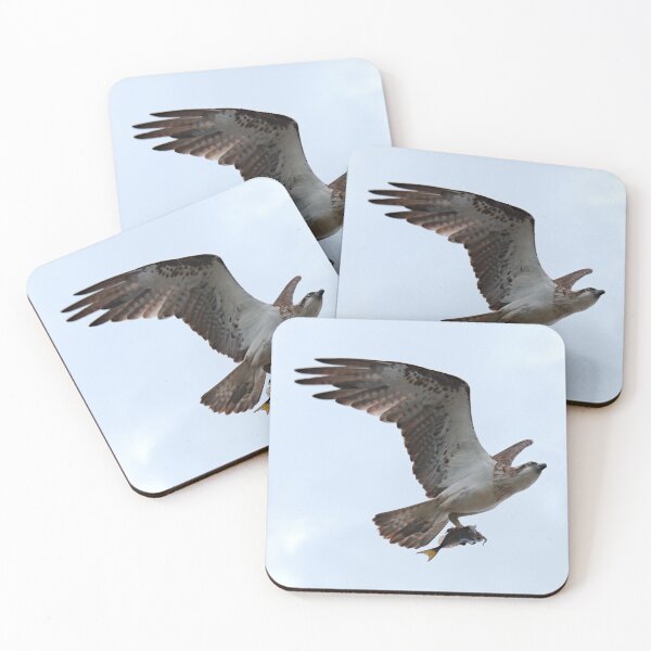 Item preview, WO ~ SC ~ RAPTOR ~ Eastern Osprey G4D9FHH5 by David Irwin 190919 designed and sold by tasmanianartist.
