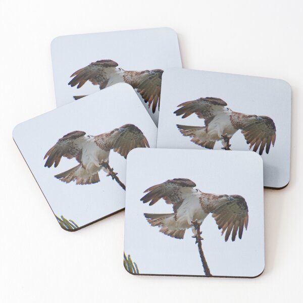 Item preview, WO ~ SC ~ RAPTOR ~ Eastern Osprey DUYWZFSN by David Irwin 190919 designed and sold by tasmanianartist.