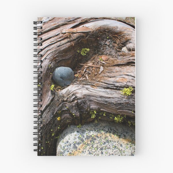 Item preview, Currents designed and sold by KurtKeller.
