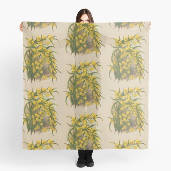 Western Australia wild flower Acacia State Library of Western Australia Scarf