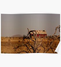out,outback Poster