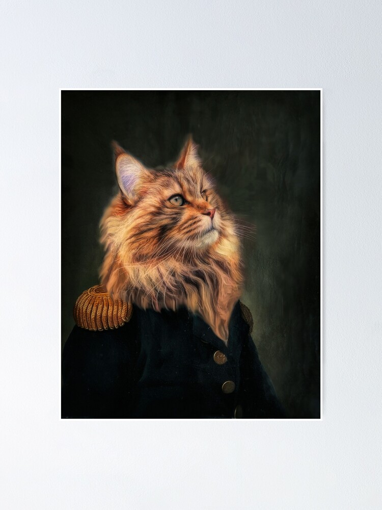 Cats inspired by vintage postcards, stories of a dream written by