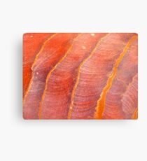 petrified wavelets Metal Print