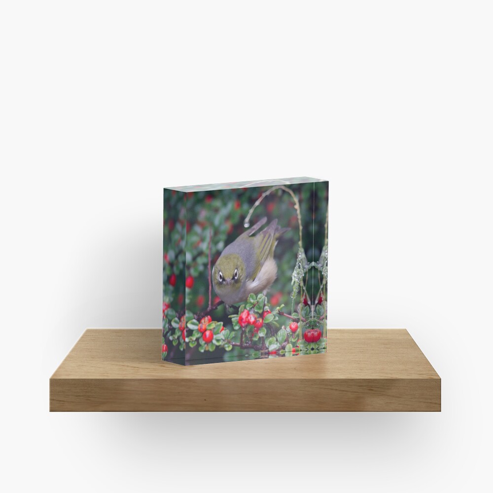 Item preview, Acrylic Block designed and sold by tasmanianartist.