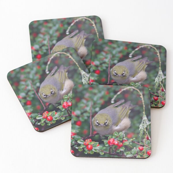 Item preview, SILVEREYE ~ Grey-backed Silvereye TBkDybq5 by David Irwin 190919 designed and sold by tasmanianartist.