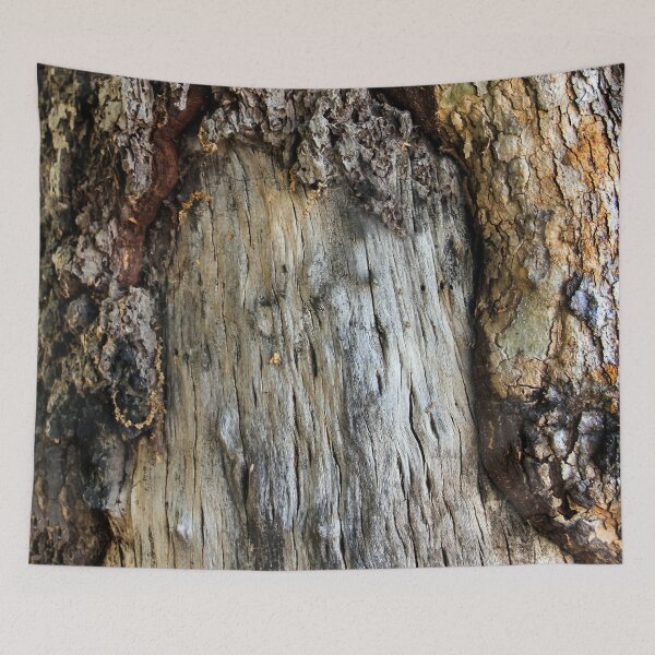 Item preview, Old Bark on Tree Trunk designed and sold by heatherfriedman.