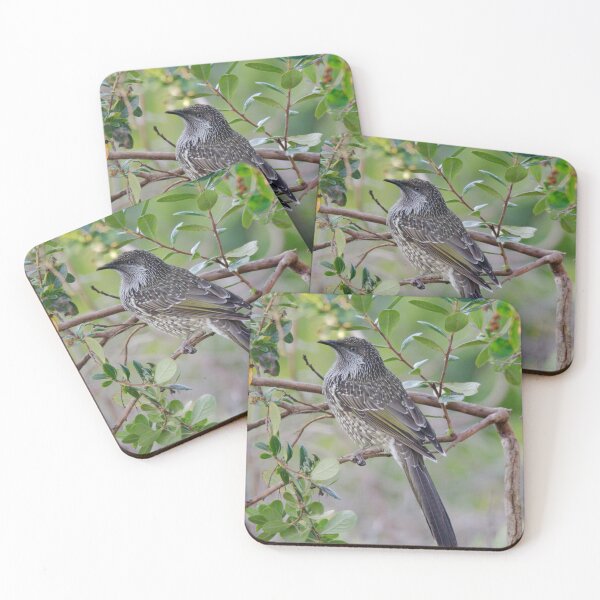 Item preview, HONEYEATER ~ Little (Brush) Wattlebird higBZmqN by David Irwin 190919 designed and sold by tasmanianartist.