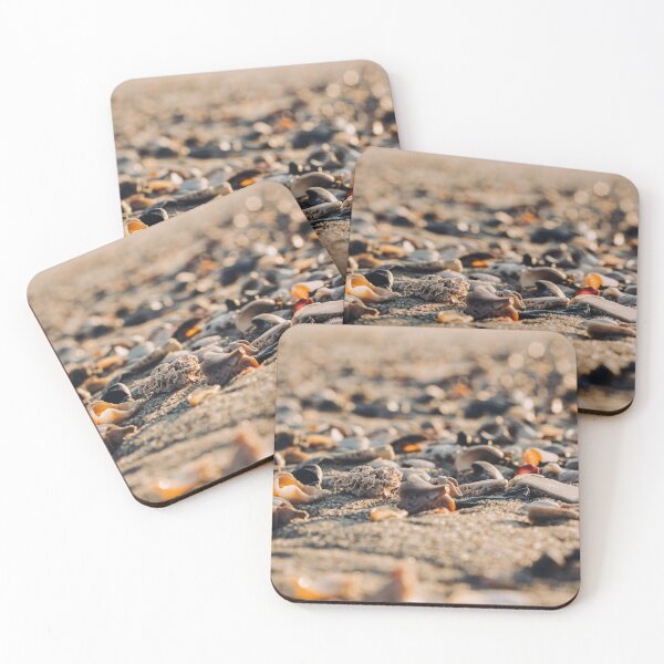 Item preview, lovely little shells designed and sold by BethanyRenfield.
