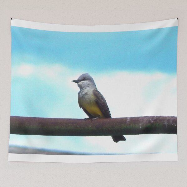 Item preview, Happy little kingbird  designed and sold by Stephanie  Skeem.