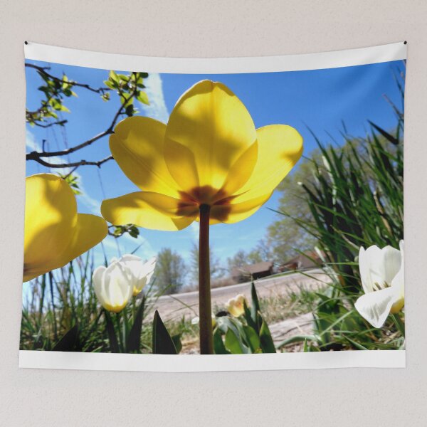 Item preview, yellow tulip, blue sky designed and sold by Stephanie  Skeem.