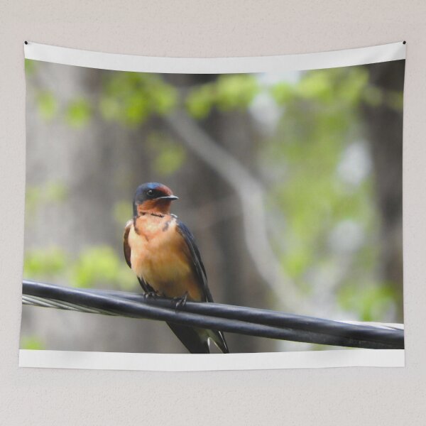 Item preview, utah barn swallow  designed and sold by Stephanie  Skeem.