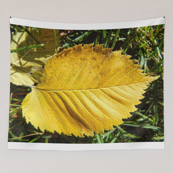 Item preview, big yellow autumn leaf designed and sold by Stephanie  Skeem.
