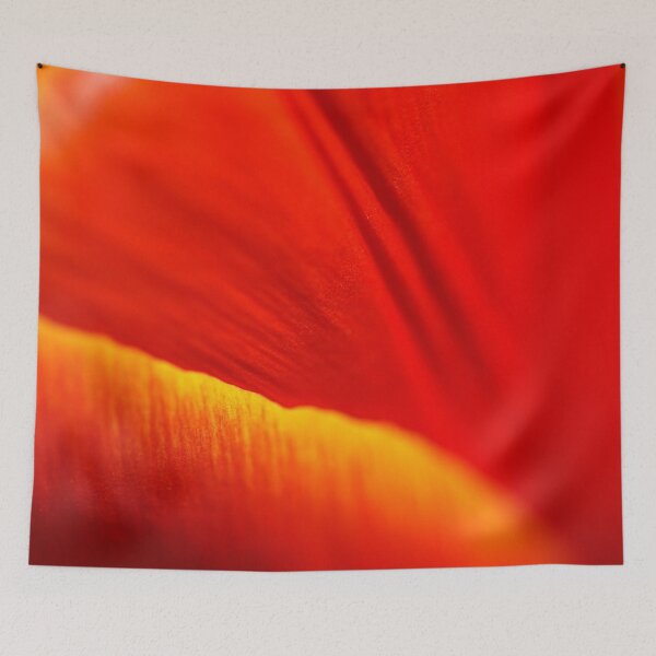 Aperçu de l'œuvre Tulipe en feu créée et vendue par Joy Watson - Natural Light Photography .