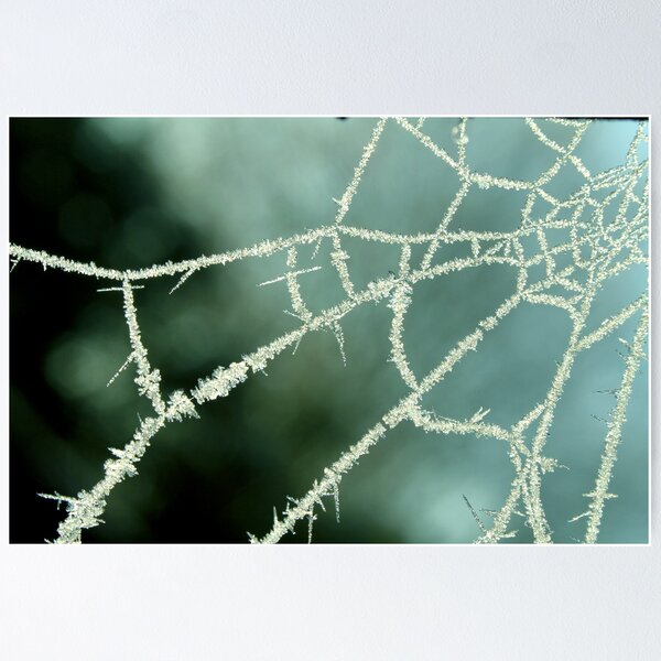 Item preview, Winter Web designed and sold by SharonJ.