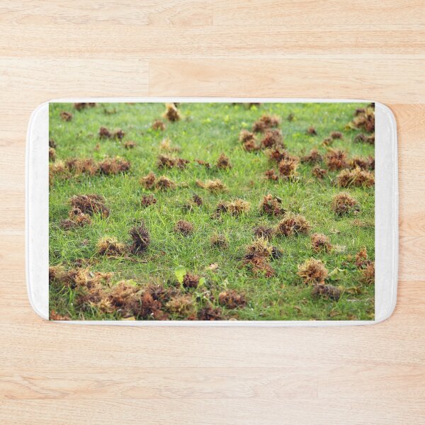 Item preview, hazelnuts fallen on the ground nature background designed and sold by goceris.