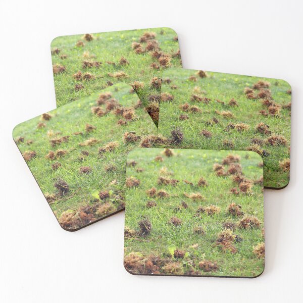 Item preview, hazelnuts fallen on the ground nature background designed and sold by goceris.