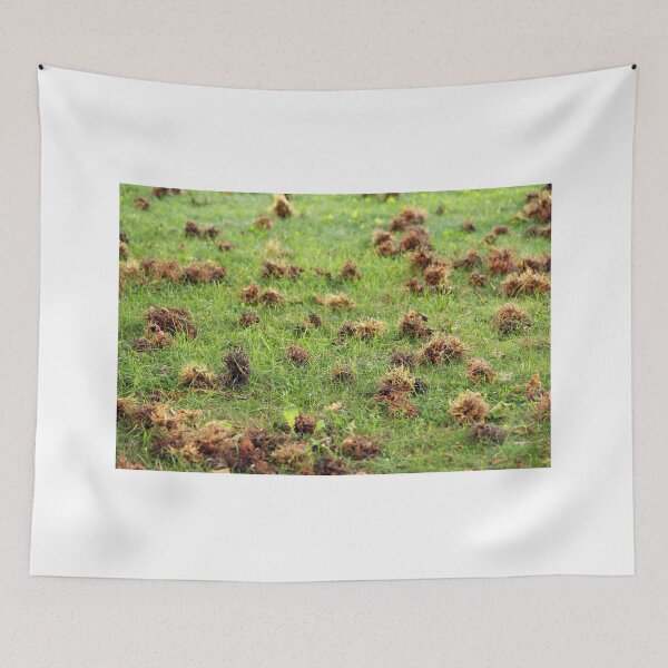 Item preview, hazelnuts fallen on the ground nature background designed and sold by goceris.