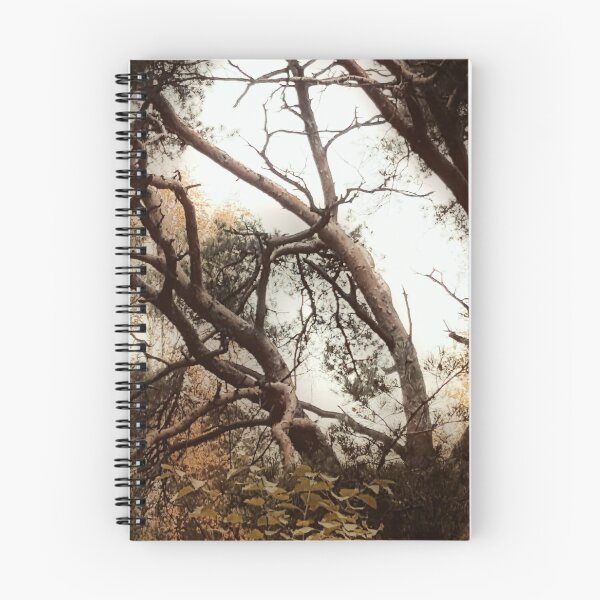 Item preview, Autumn Trees - 4 designed and sold by Barry W  King.
