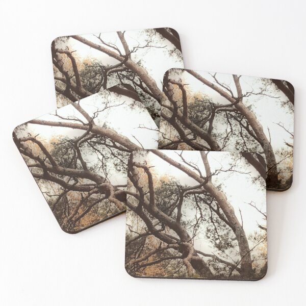 Item preview, Autumn Trees - 4 designed and sold by Barry W  King.
