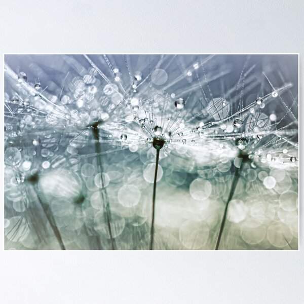 Item preview, Blowball Bokeh Boogie.... (II) designed and sold by Bob Daalder Photography.