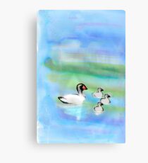 Swan Family Canvas Print