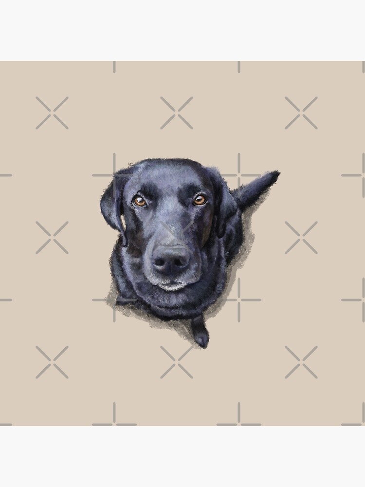 Jacob the Labrador Retriever by elspethrose