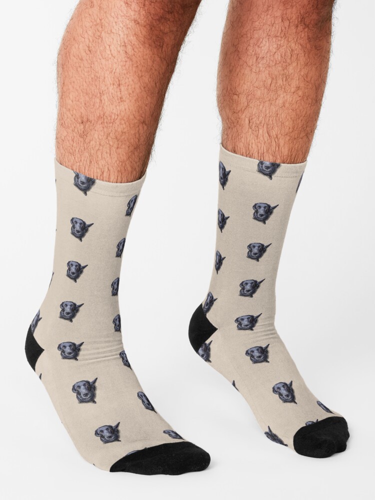 Alternate view of Jacob the Labrador Retriever Socks