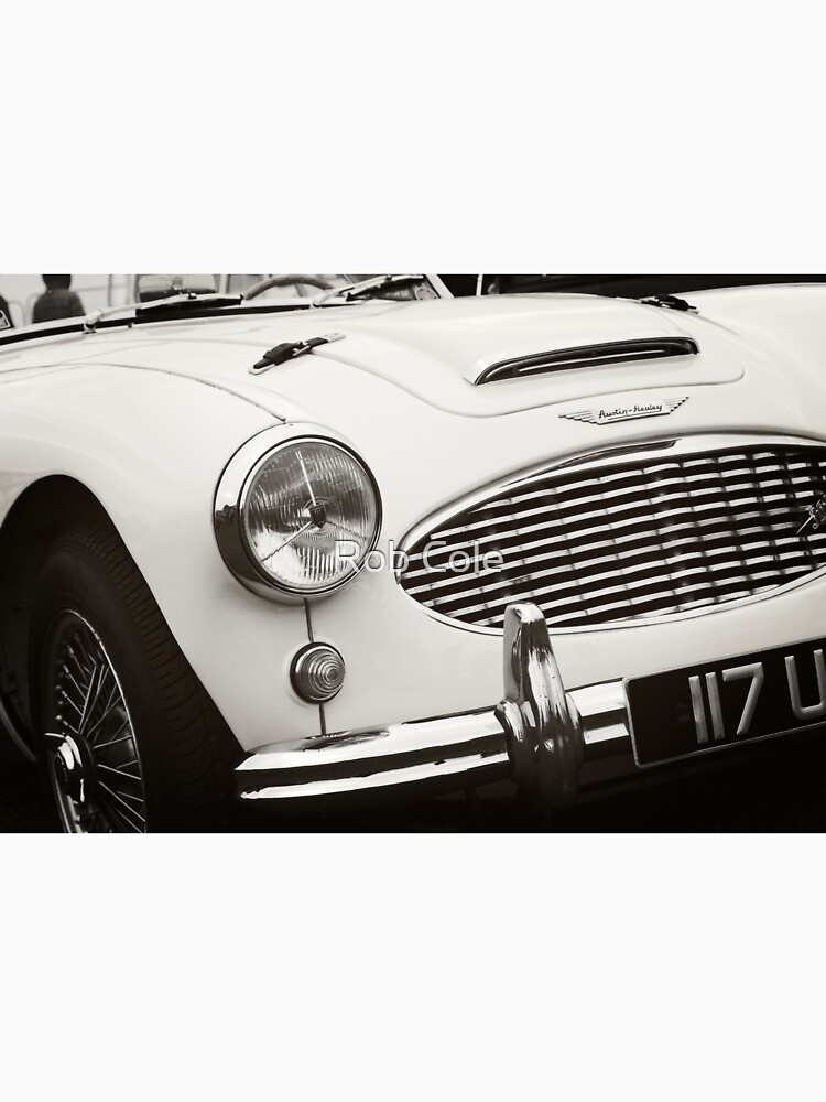 Austin Healey Classic Sports Car Front by robcole