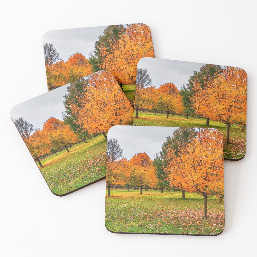 Item preview, Coasters (Set of 4) designed and sold by mljdwhite.