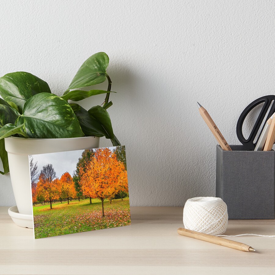 Item preview, Art Board Print designed and sold by mljdwhite.