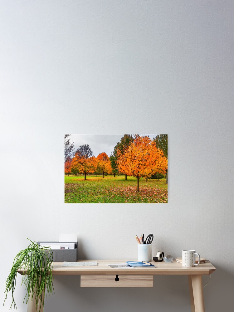 Thumbnail 2 of 3, Poster, Autumn In Springfield designed and sold by mljdwhite.