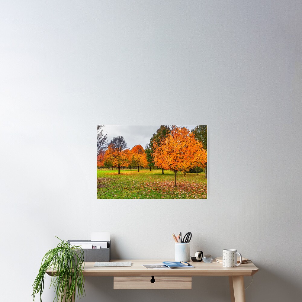 Item preview, Poster designed and sold by mljdwhite.