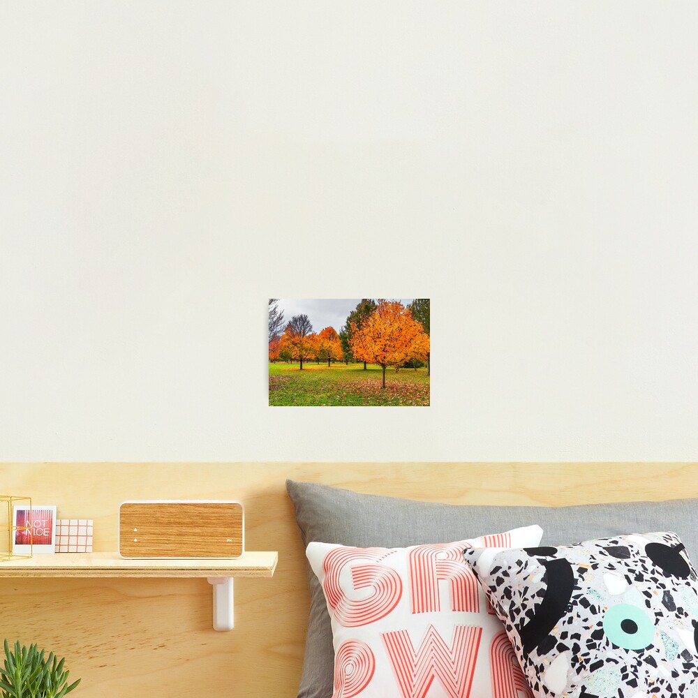 Item preview, Photographic Print designed and sold by mljdwhite.