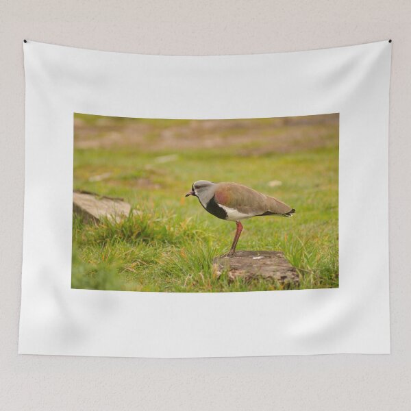 Item preview, sbs lapwing designed and sold by pcfyi.